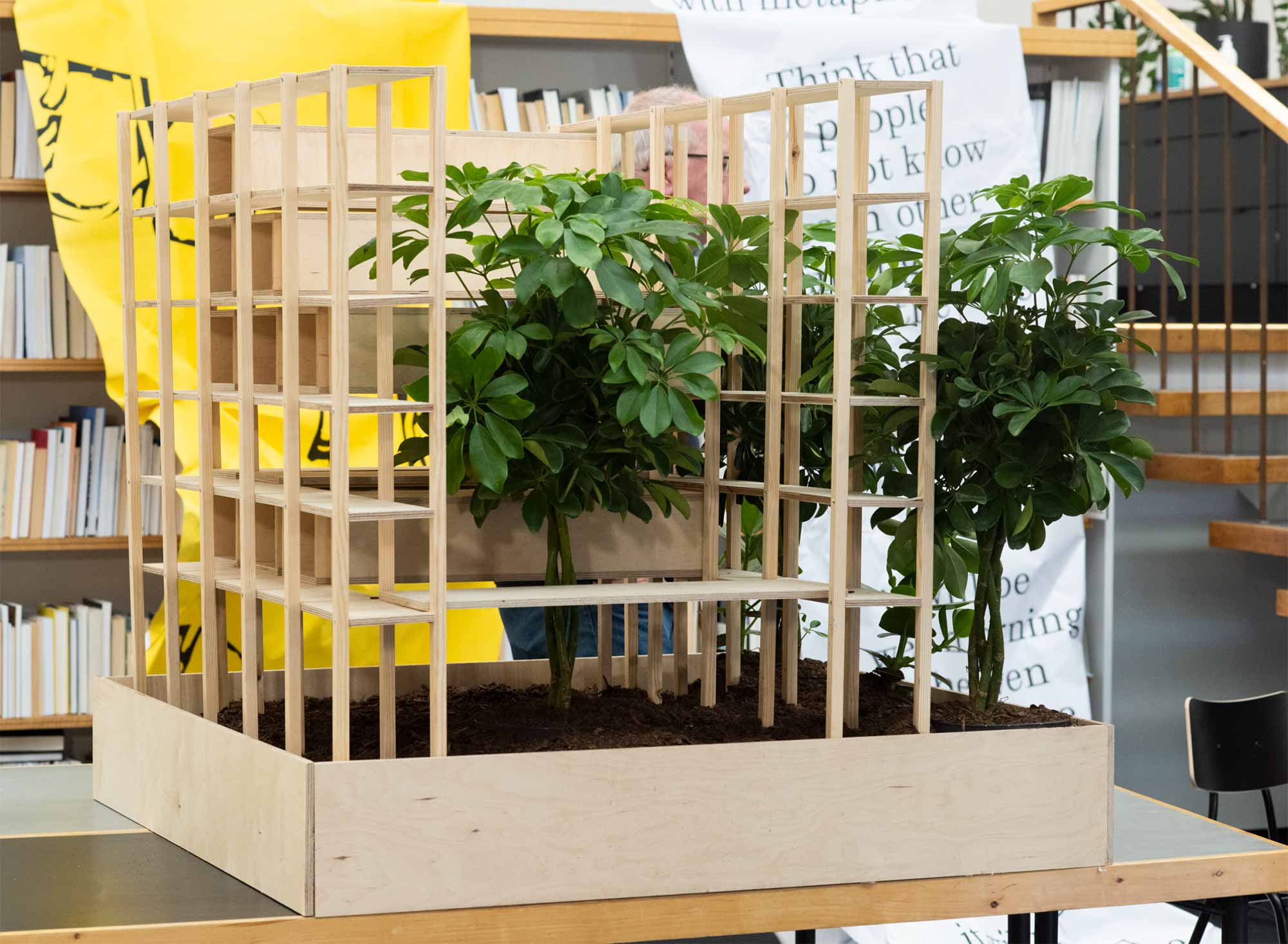 A potted plant on display in a conference room